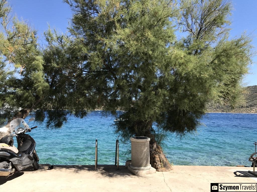 Pinia i widok na morze w Primošten, Chorwacja