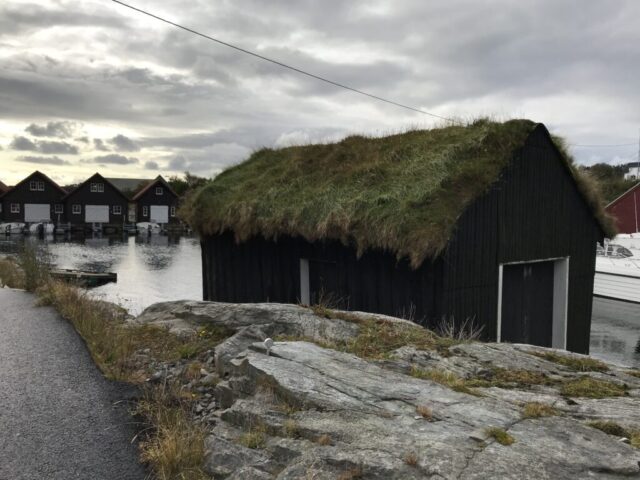 Dom z trawą na dachu wyspa Sotra Dom z trawą na dachu wyspa Sotra