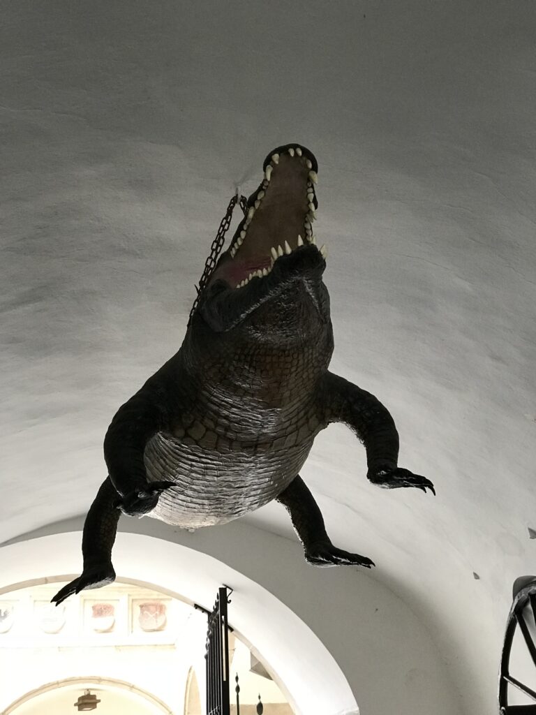 „brneński smok” (Brněnský drak) — w rzeczywistości wypchany krokodyl, „brneński smok” (Brněnský drak) — w rzeczywistości wypchany krokodyl,