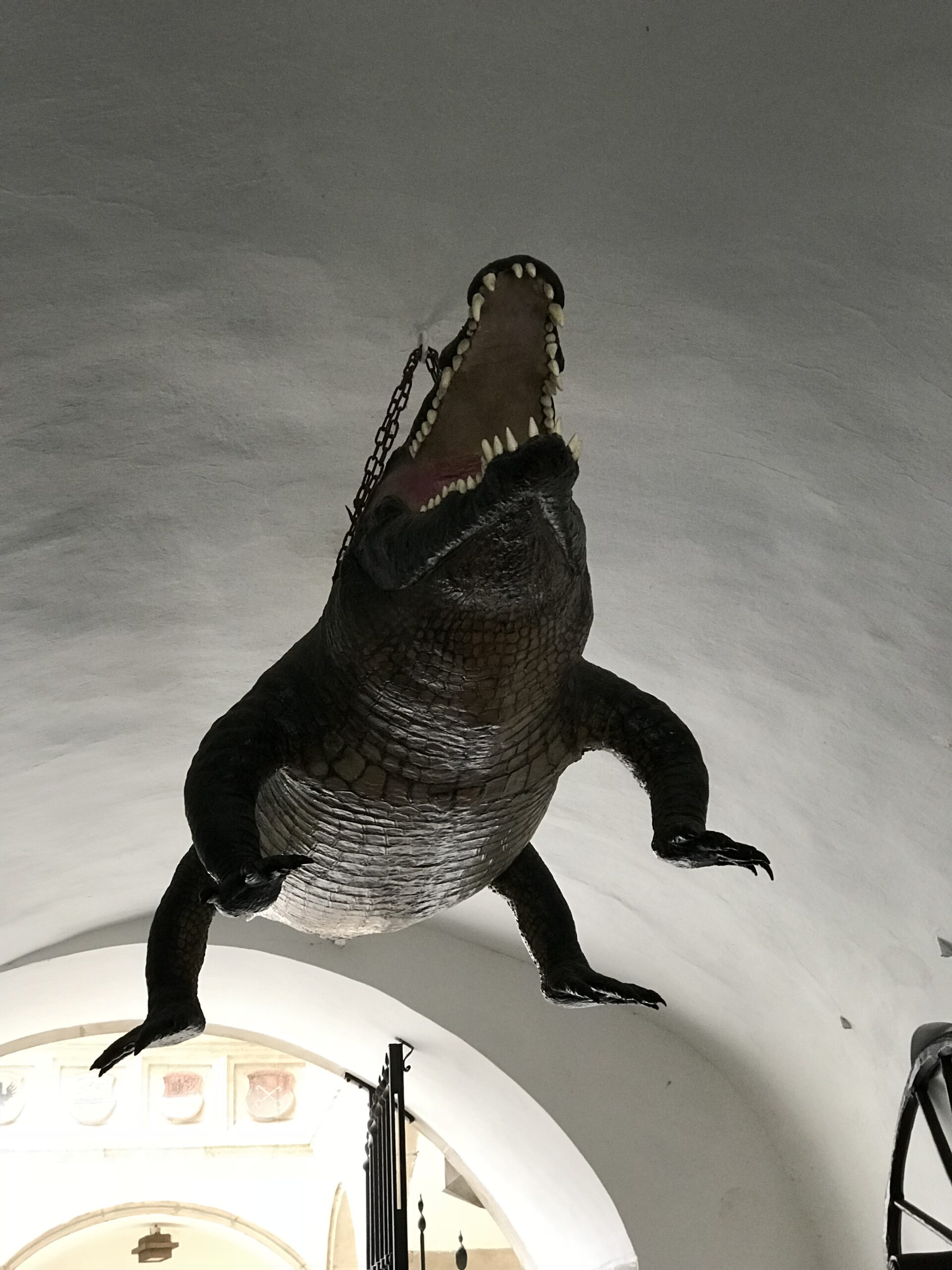 „brneński smok” (Brněnský drak) — w rzeczywistości wypchany krokodyl,