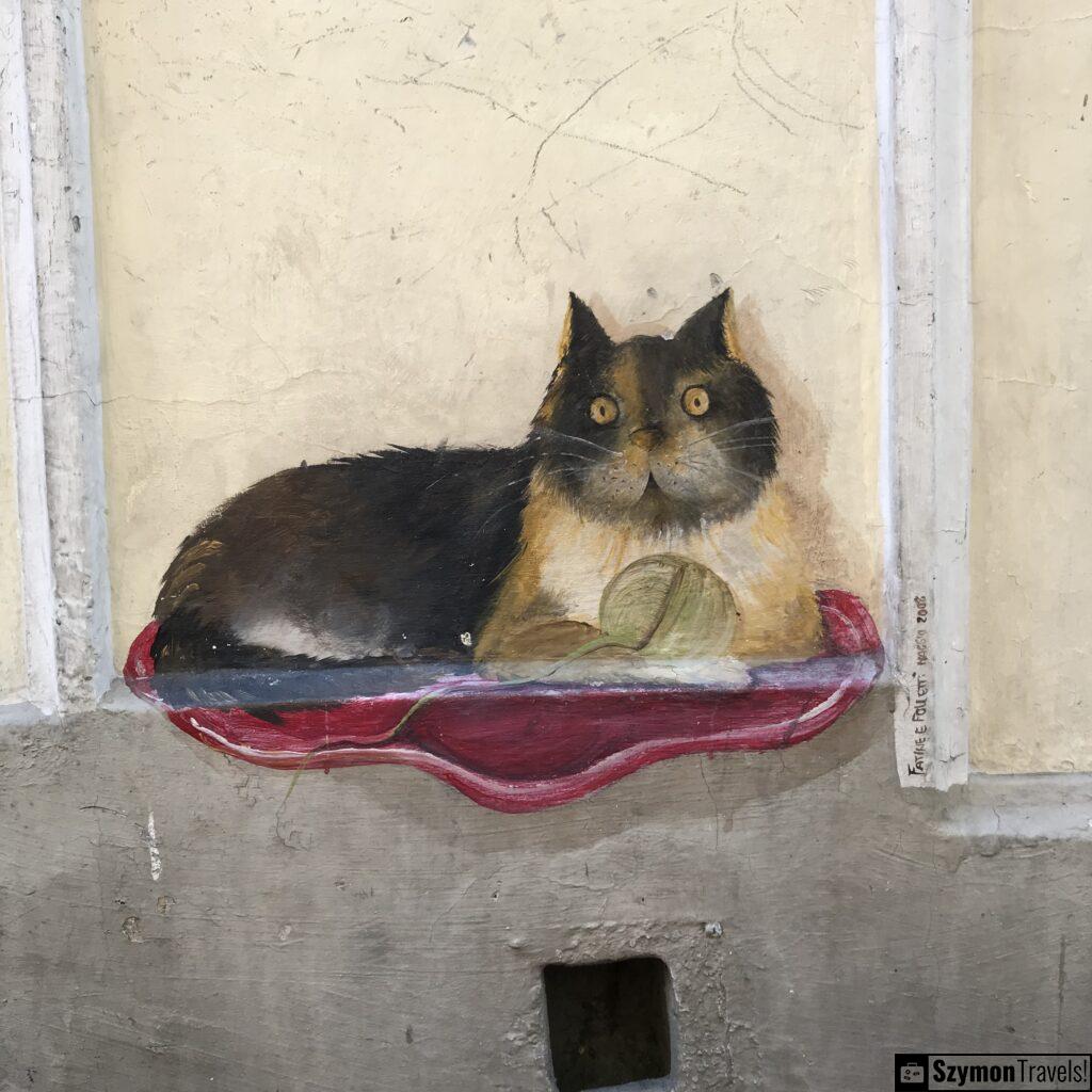 Cat of Bolzano