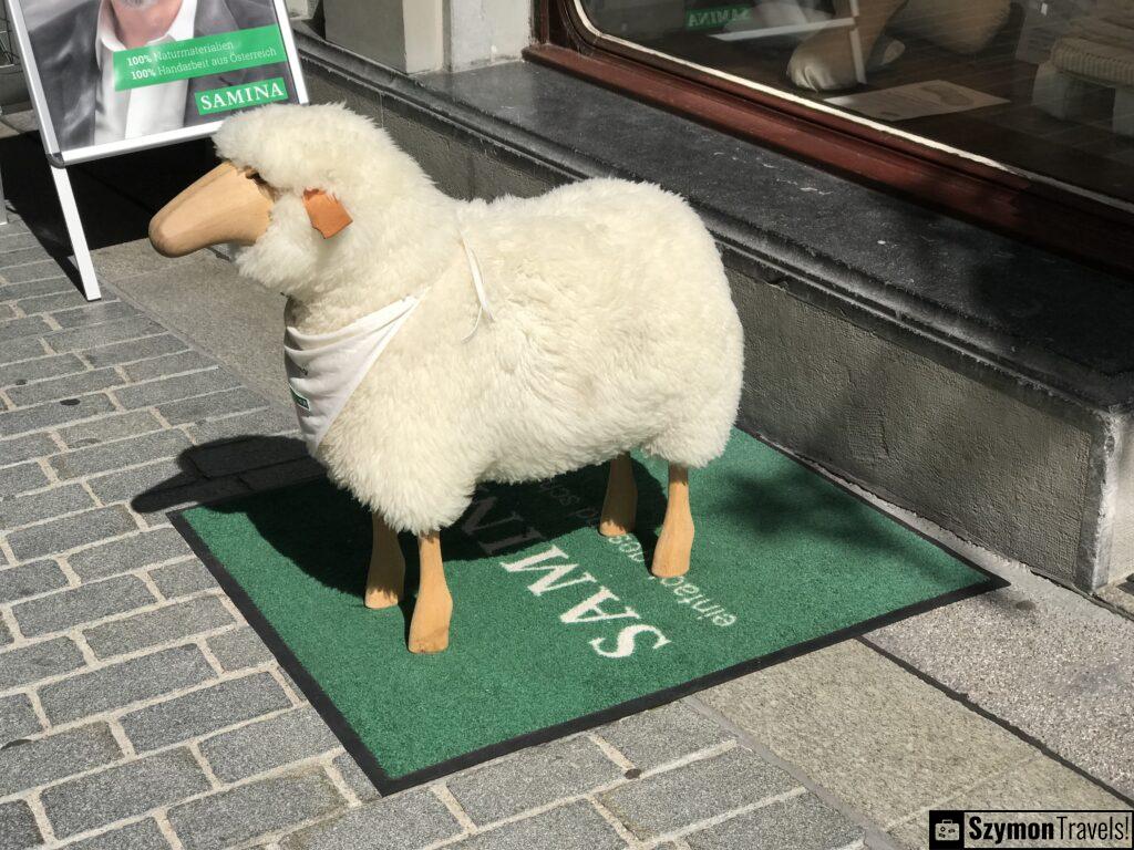 Sztuczna Owca w St. Galen, Szwajcaria Sztuczna Owca w St. Galen