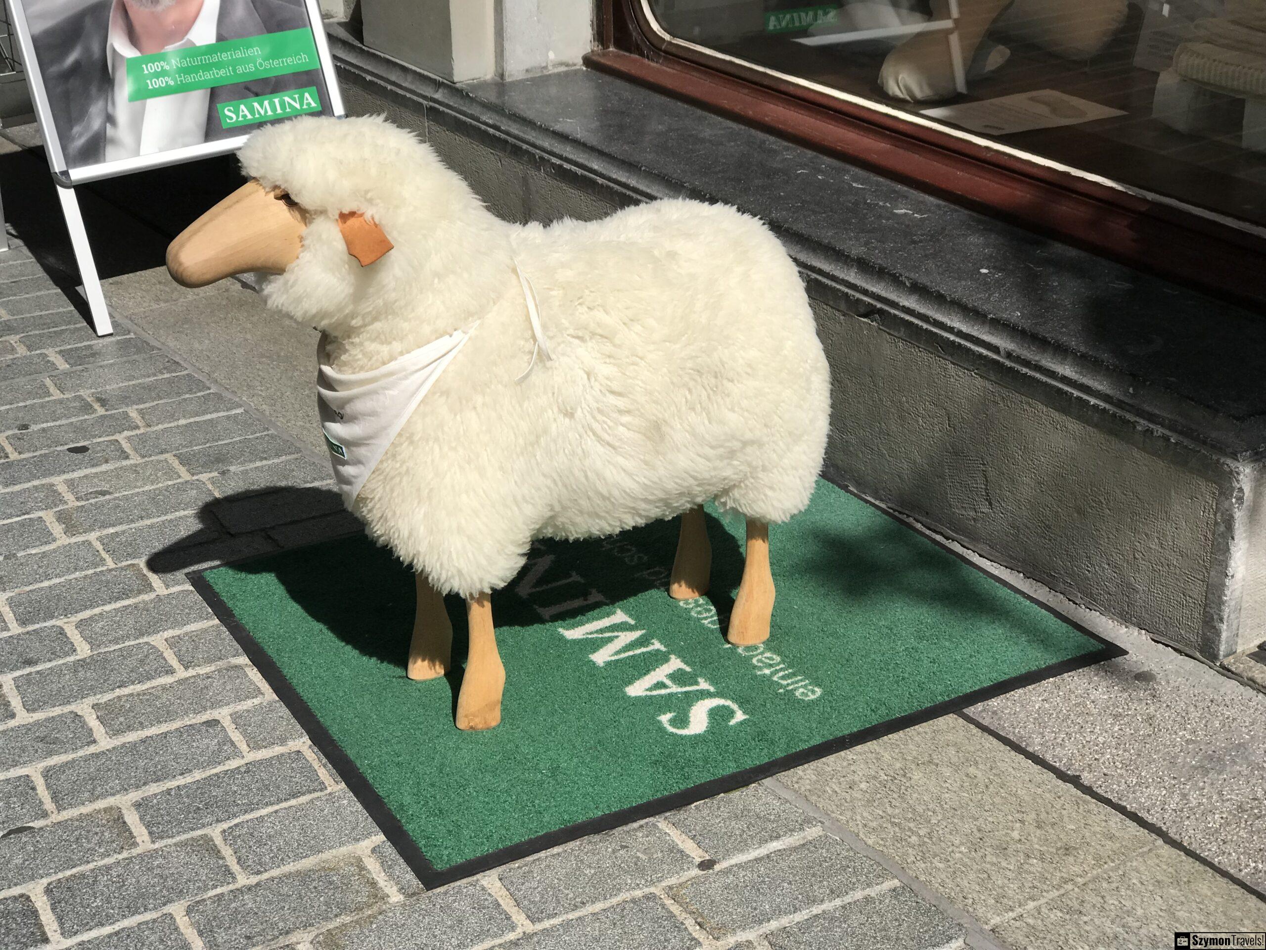 Sztuczna Owca w St. Galen