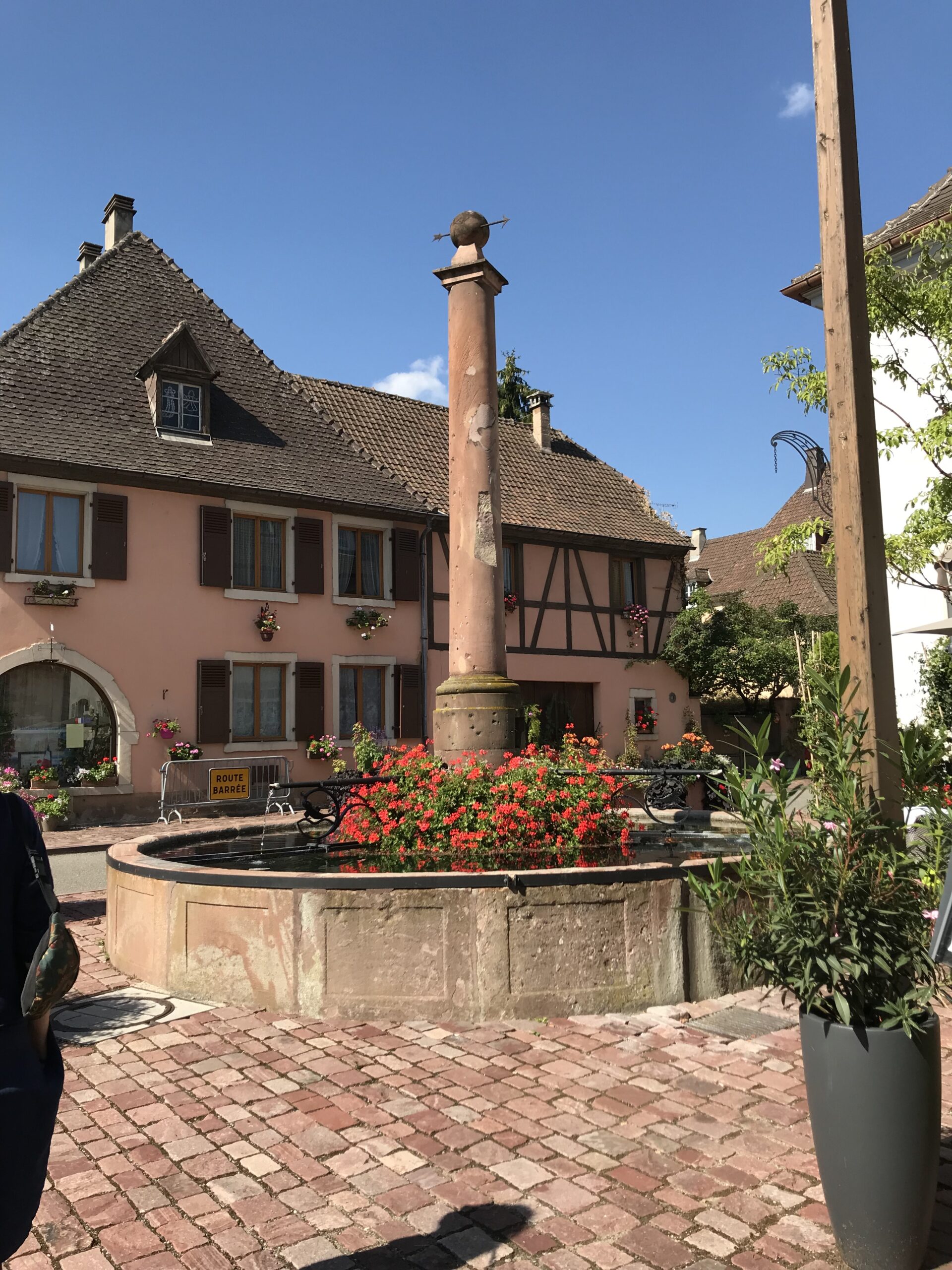 Fontaine de l’Homme Sauvage w Ammerschwihr w Alzacji