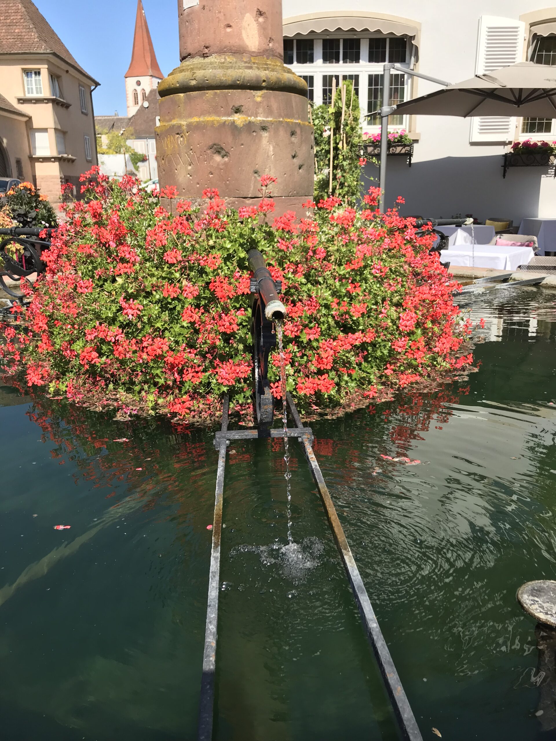 Fontaine du Stokbrunnen w Ammerschwihr z kwiatami i wodą