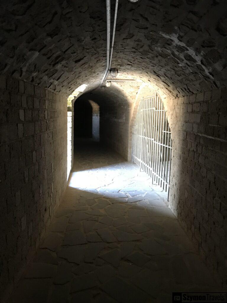 IMG_7560-768x1024 Colonia Ulpia Traiana