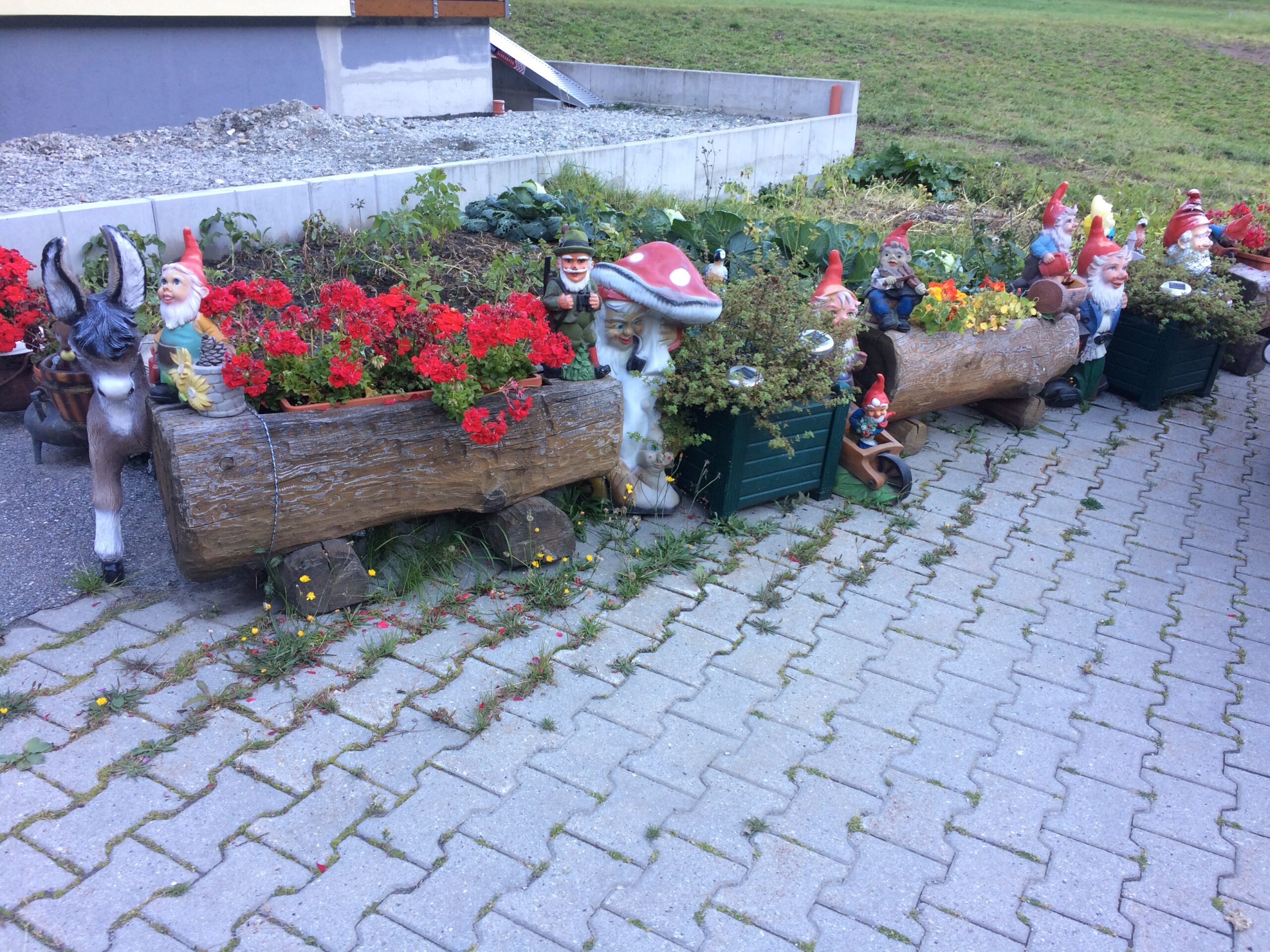 Dekoracja ogrodowa w Saas-Grund z kwiatami, krasnalami, figurą osła i ozdobnymi donicami przy chodniku.