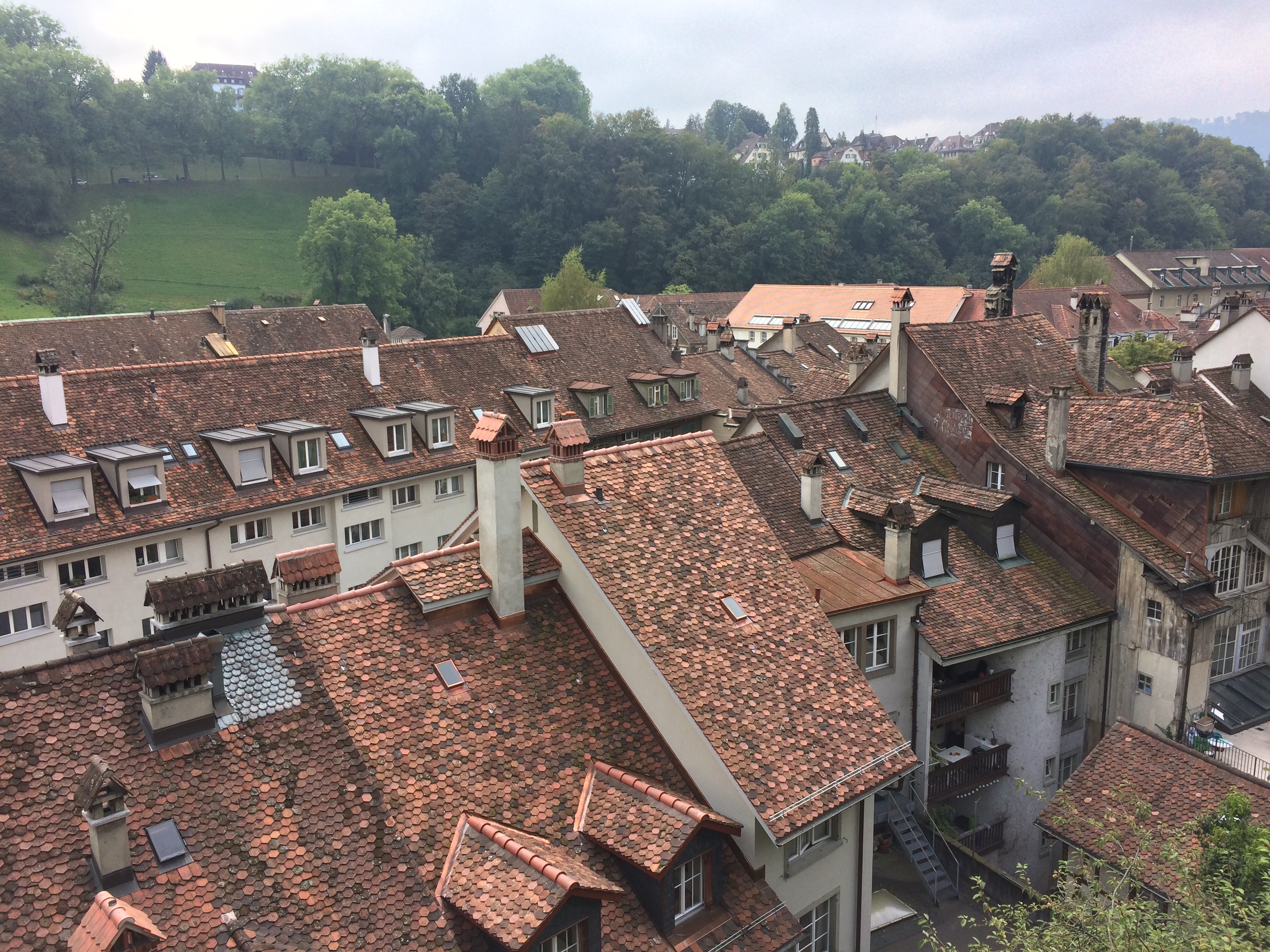 Widok z góry na dachy starego miasta w Bernie, czerwone dachówki, kominy, zielone zbocza i zabudowę nad Aare.