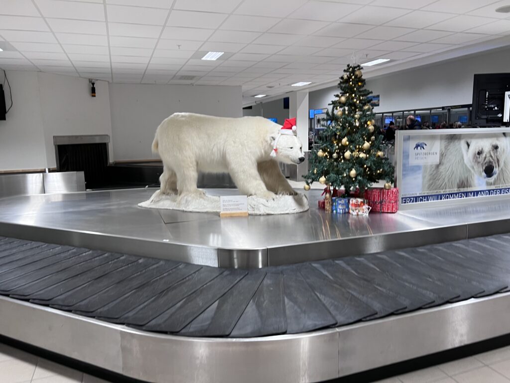 Widok na Spitsbergen