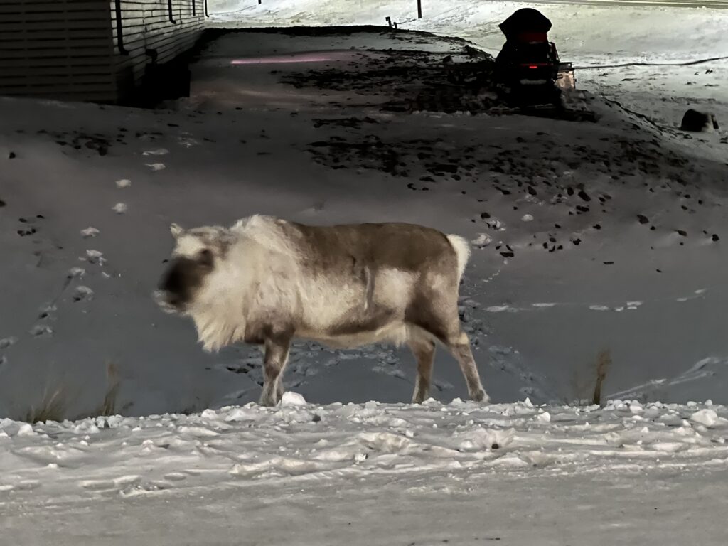 Widok na Longyearbyen
