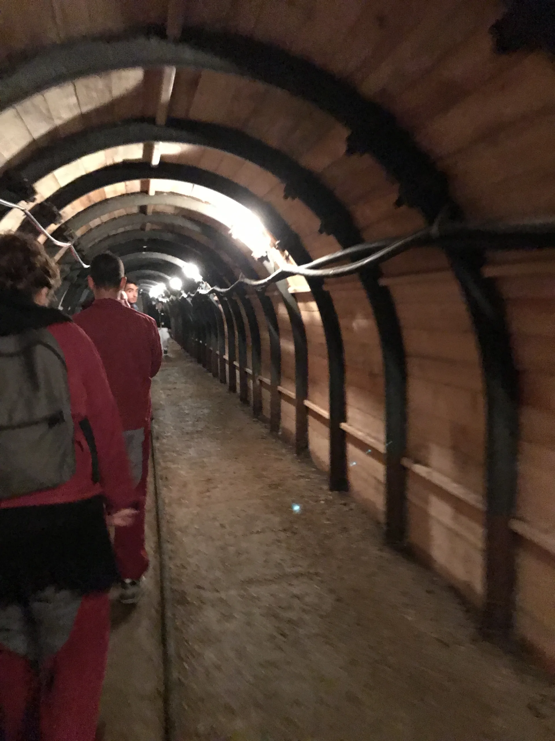 Hallstatt Salt Mine 9