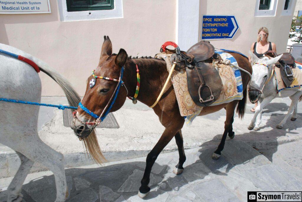 Wycieczka na Santoryn 00025