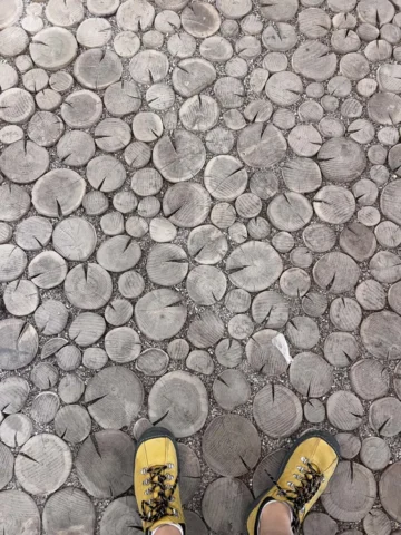 Wdzydze Kashubian open air museum 00004 Wdzydze Kashubian open air museum 00004