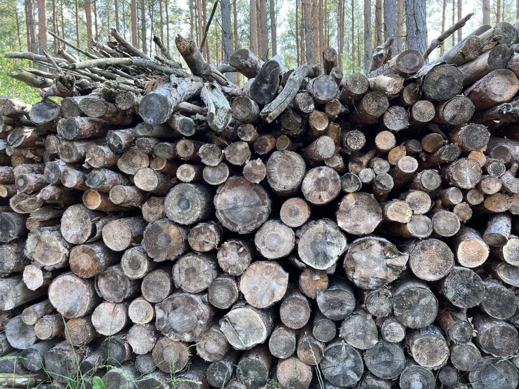 pile of wood