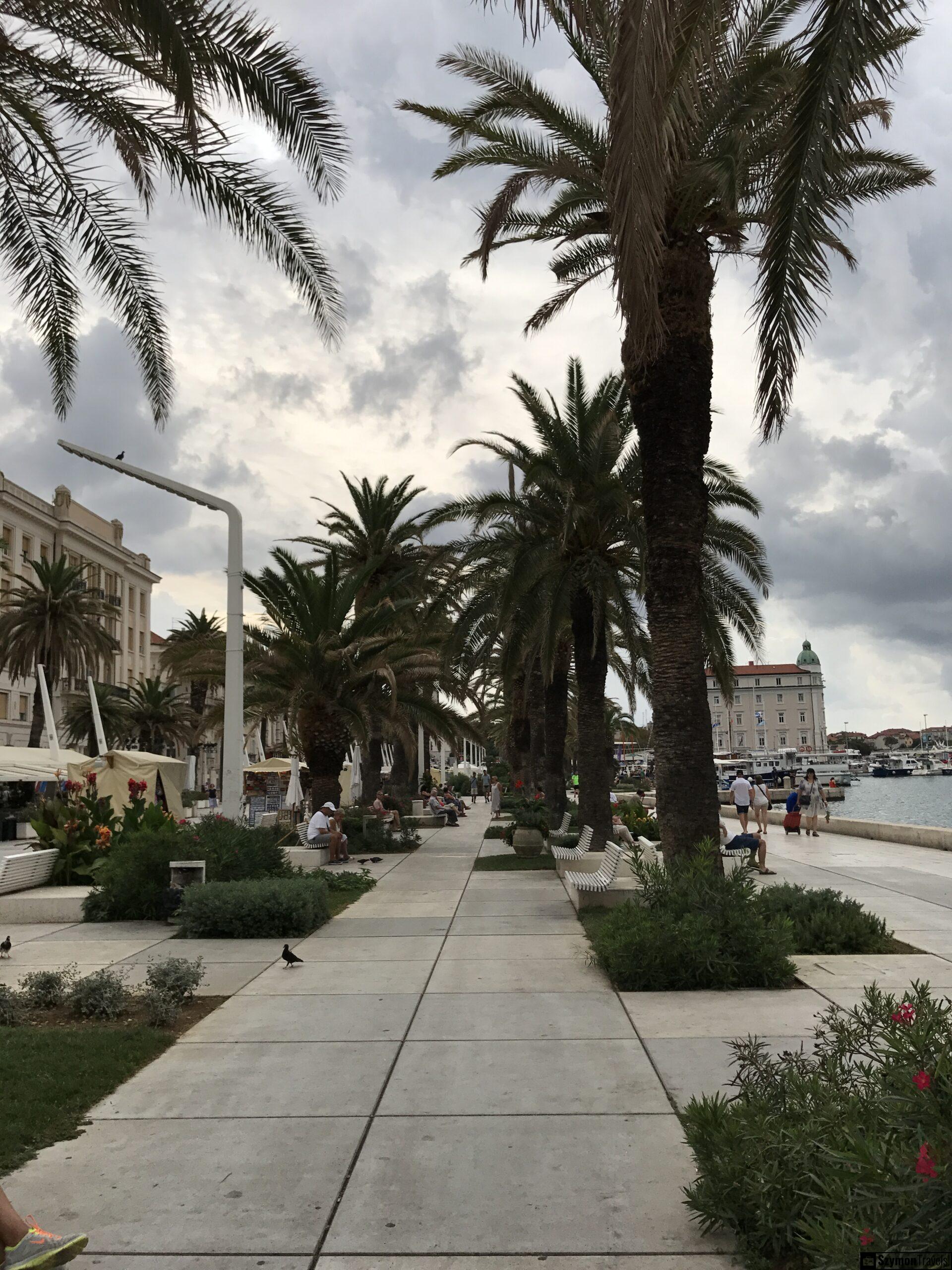 Riva w Splicie z palmami i portem Promenada Riva w Splicie z palmami, ławkami, spacerującymi ludźmi, restauracjami i portem widocznym po prawej stronie.