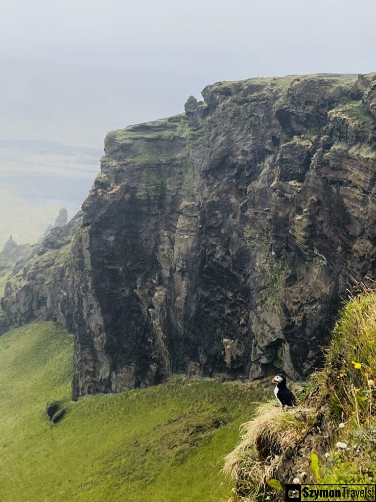 Dyrhólaey