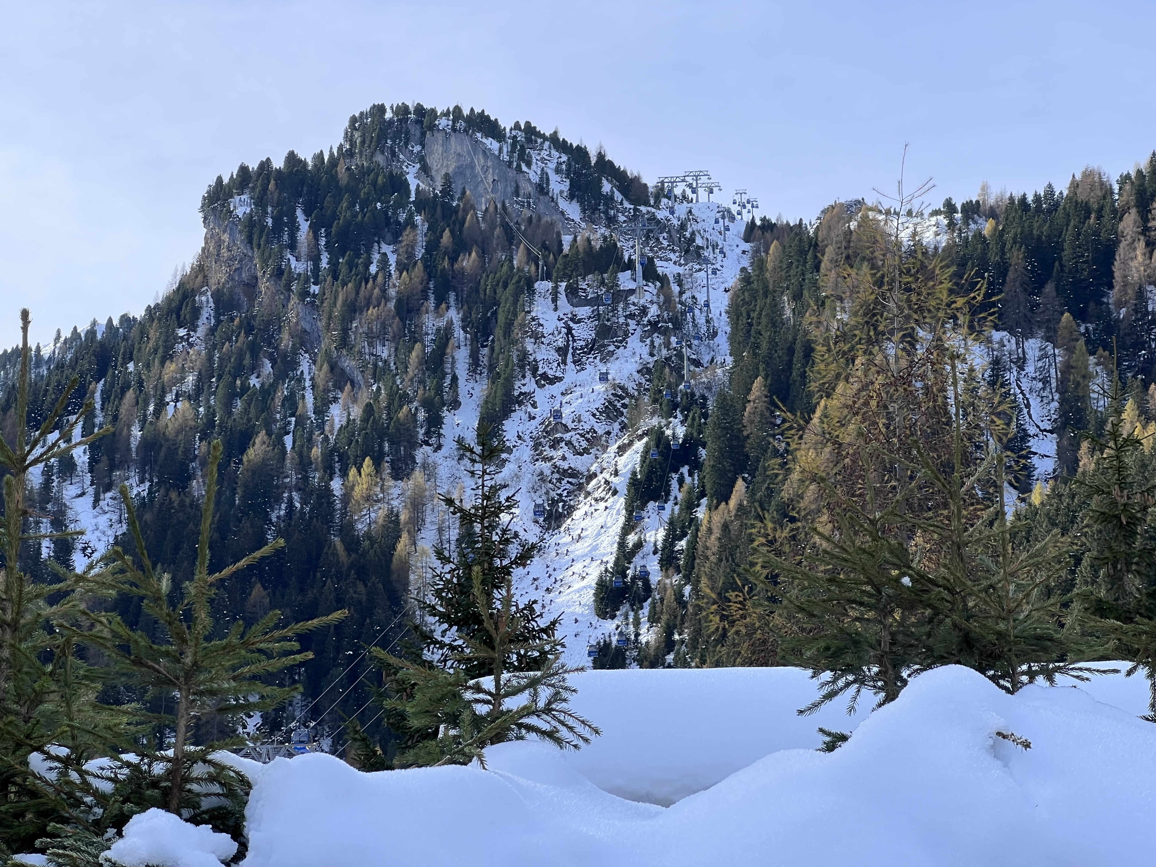 Zimowy las i góry w rejonie Zillertal 3000 Zimowy las i ośnieżone skaliste zbocze w Tyrolu w rejonie Zillertal 3000