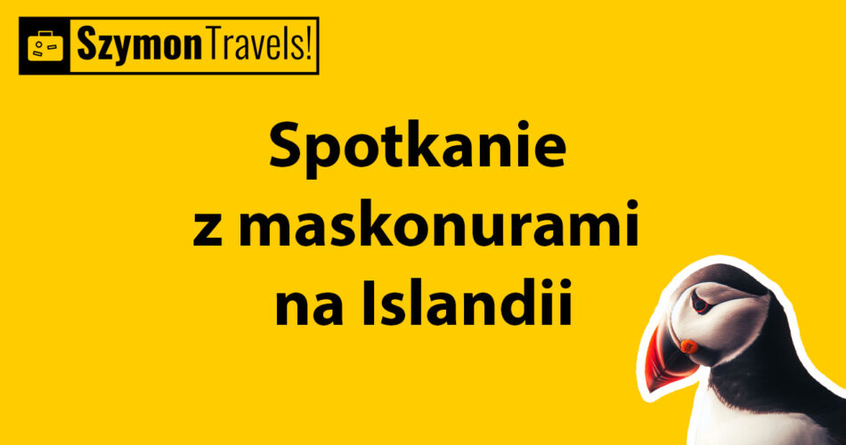 Post 16 9 Spotkanie z maskonurami na Islandii