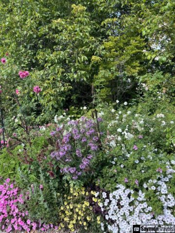 Park w Siedem Drzew Biskupice