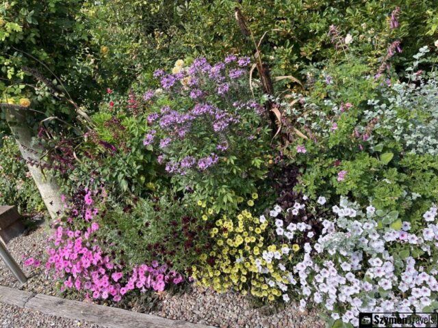 Park w Siedem Drzew Biskupice