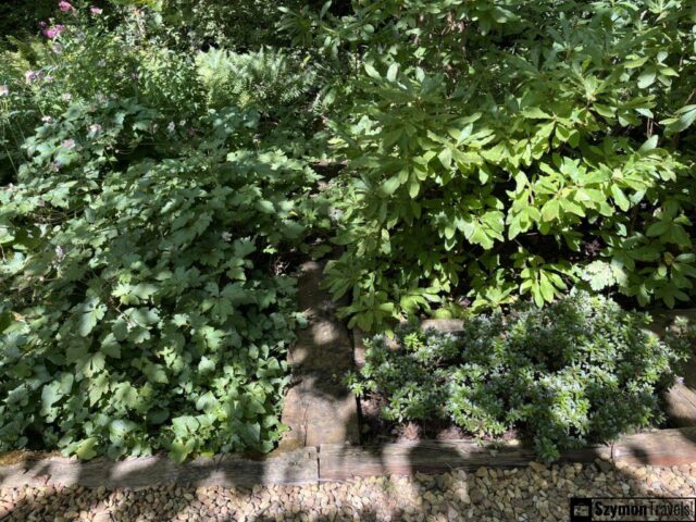 Park w Siedem Drzew Biskupice