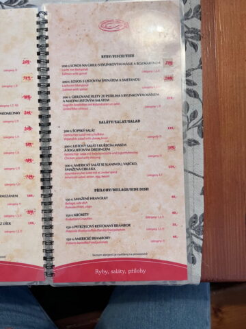 Menu z Restauracji u Slovana, Náchod , Czechy. Menu z Restauracji u Slovana, Náchod , Czechy.