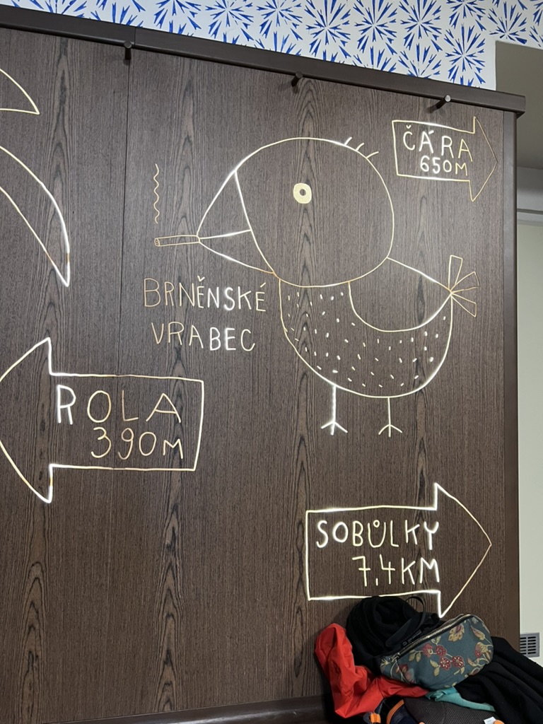 Wnętrze Lokál U Caipla, Brno, Czechy Wnętrze Lokál U Caipla, Brno, Czechy