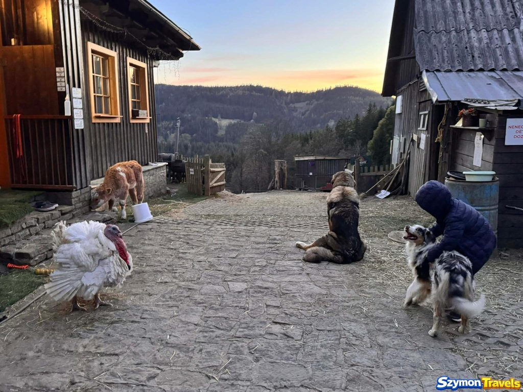 Widok z agroturystyki 