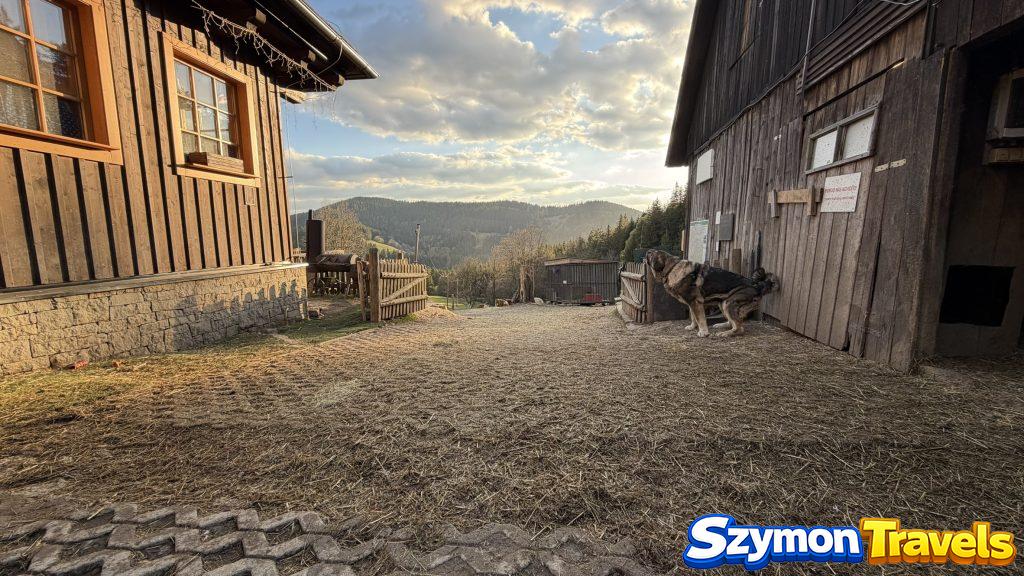 Statek u Rajmunda Czechy – rodzinna agroturystyka ze zwierzętami w Beskidach