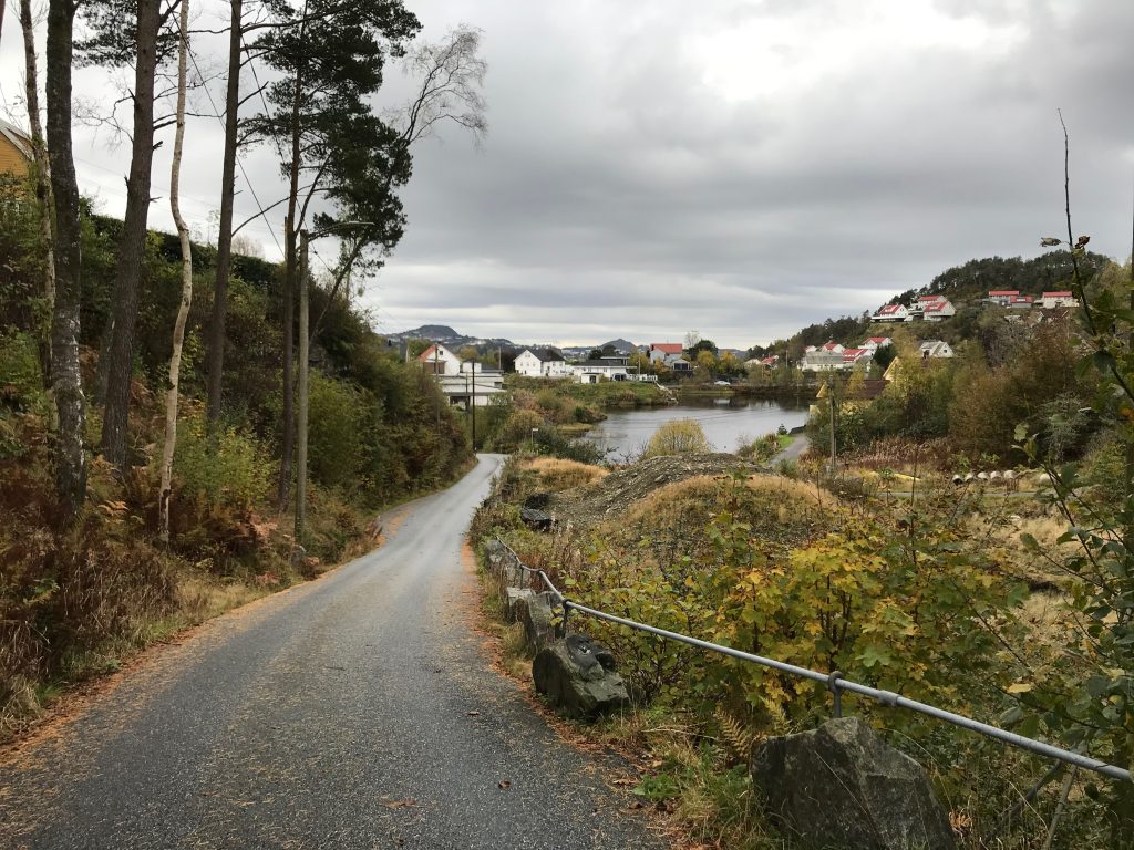 Droga do Strusshamn na Askøy Wąska droga prowadząca w stronę zatoki i domów w Strusshamn na wyspie Askøy