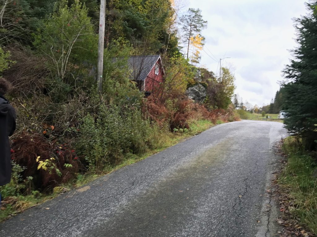 Mokra droga i czerwony dom na Askøy Mokra lokalna droga na Askøy z czerwonym drewnianym domkiem i zielenią po bokach