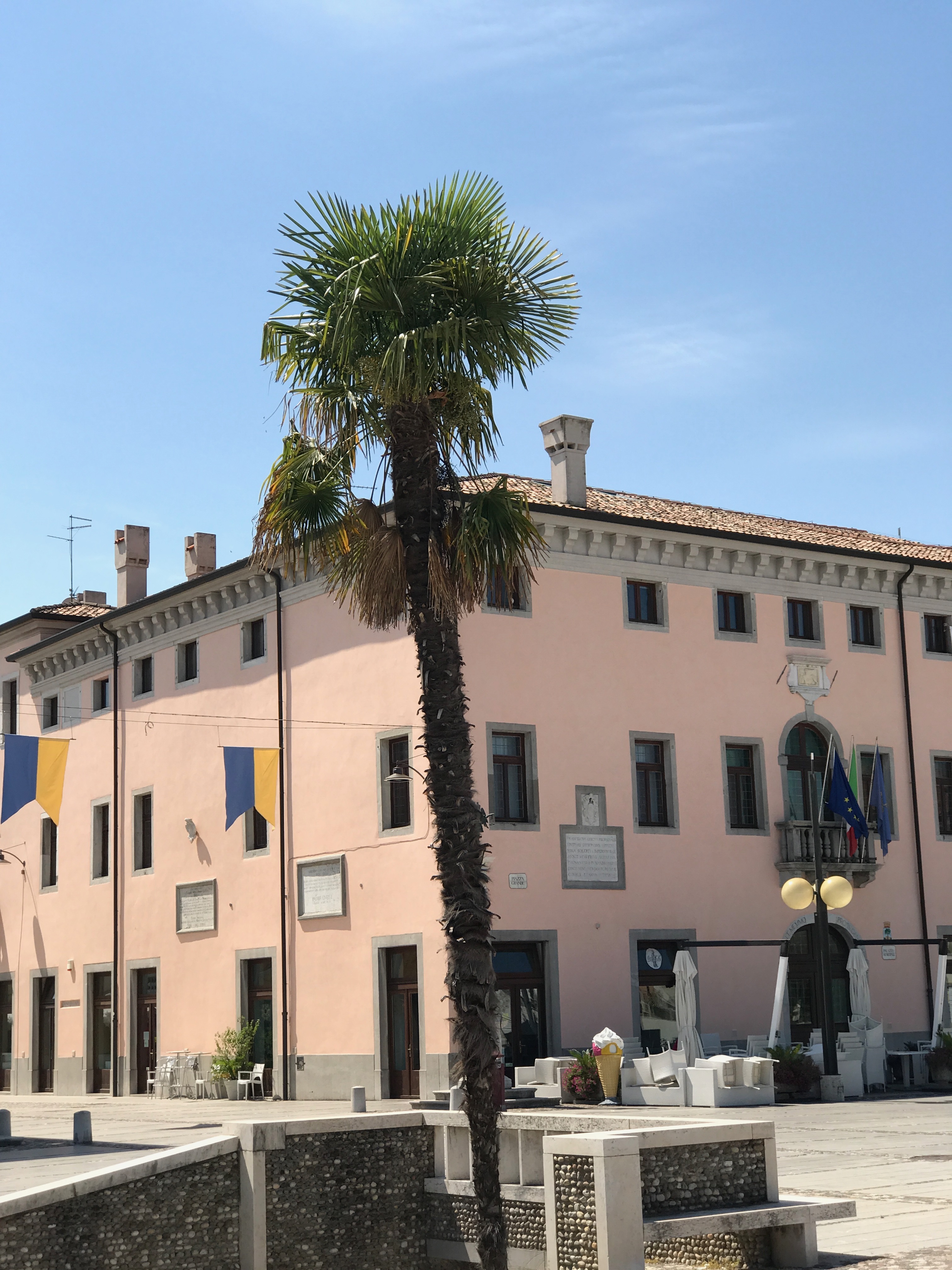Palazzo przy Piazza Grande w Palmanovie z palmą i flagami przed wejściem