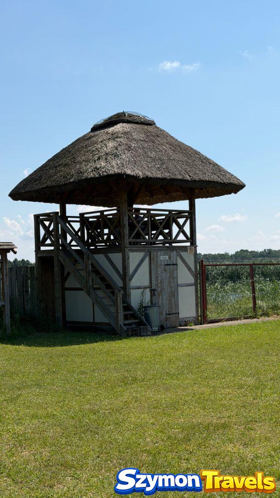 IMG 4802