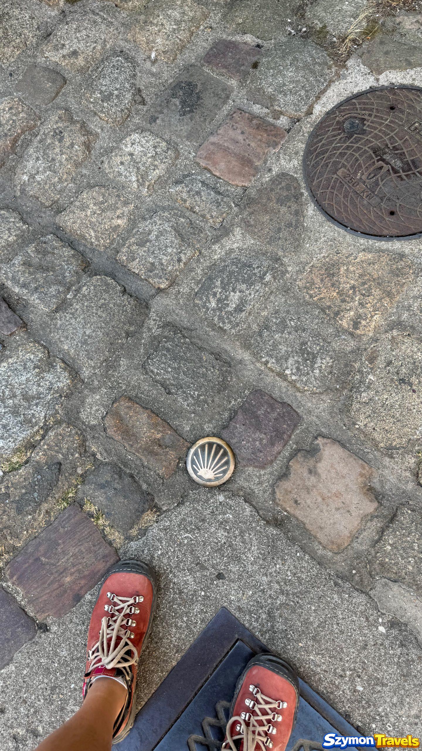 Muszla świętego Jakuba w kamiennym bruku Dinan